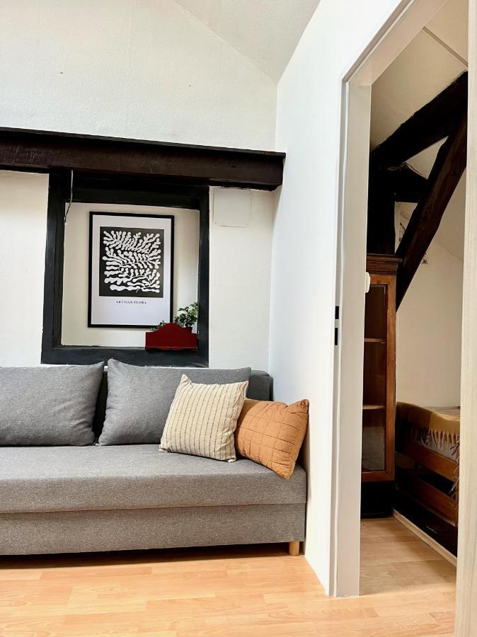 2 Bedrooms Close To Palmovka Apartment